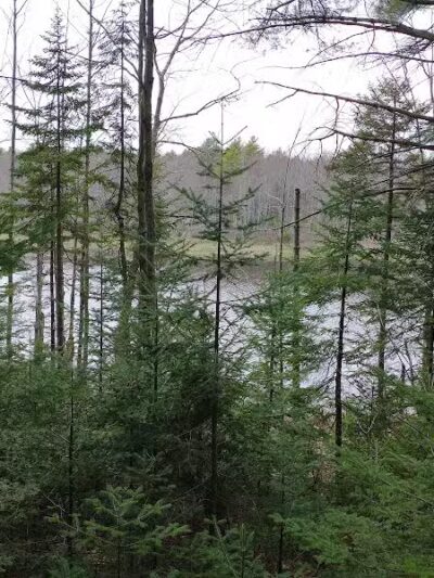 Florida Lake Park - Freeport, ME