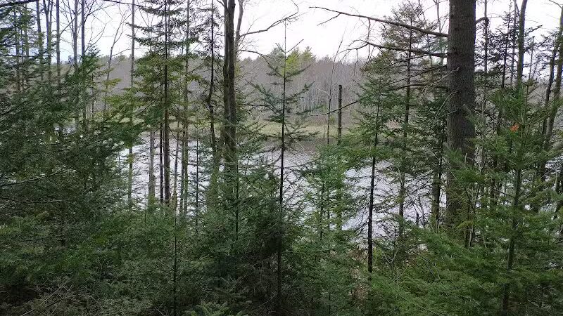 Florida Lake Park - Freeport, ME