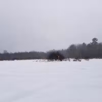 Florida Lake Park - Freeport, ME