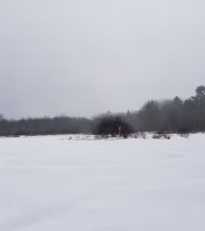 Florida Lake Park - Freeport, ME