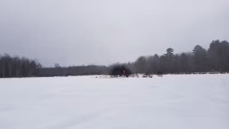 Florida Lake Park - Freeport, ME