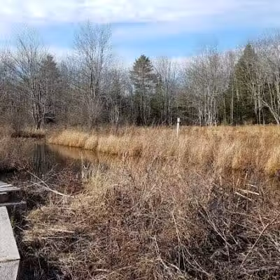 Florida Lake Park - Freeport, ME