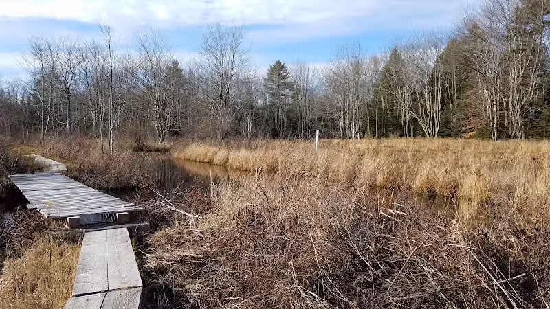 Florida Lake Park - Freeport, ME