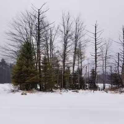 Florida Lake Park - Freeport, ME