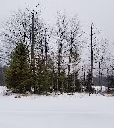 Florida Lake Park - Freeport, ME