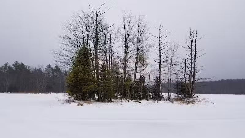 Florida Lake Park - Freeport, ME