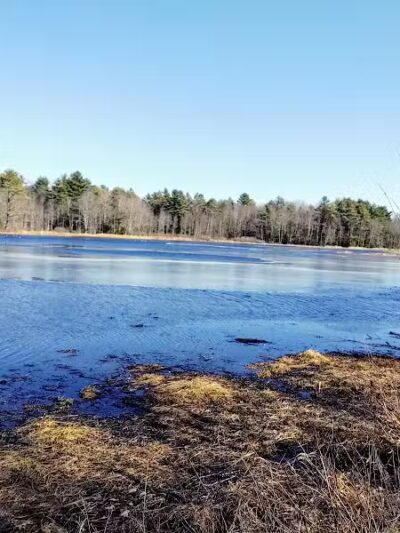 Florida Lake Park - Freeport, ME