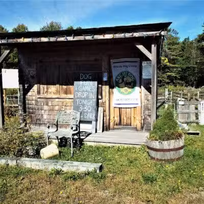 Whole Dog Camp at Bliss Woods Farm - Freeport, ME