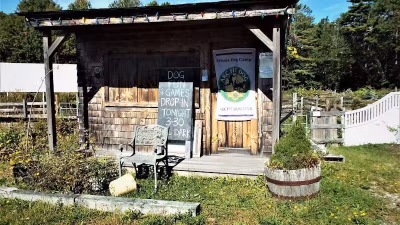 Whole Dog Camp at Bliss Woods Farm - Freeport, ME