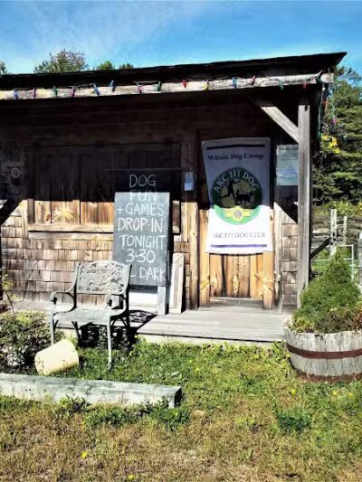Whole Dog Camp at Bliss Woods Farm - Freeport, ME
