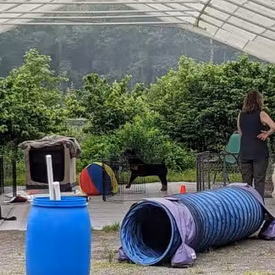 Whole Dog Camp at Bliss Woods Farm - Freeport, ME