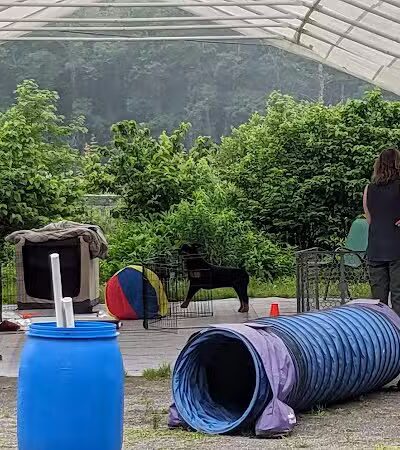 Whole Dog Camp at Bliss Woods Farm - Freeport, ME