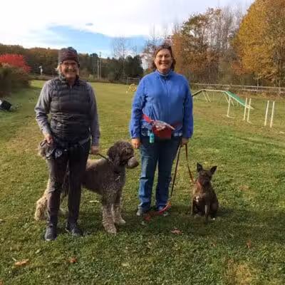 Whole Dog Camp at Bliss Woods Farm - Freeport, ME
