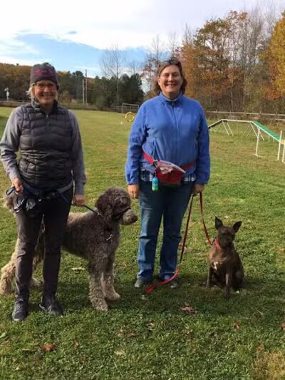 Whole Dog Camp at Bliss Woods Farm - Freeport, ME