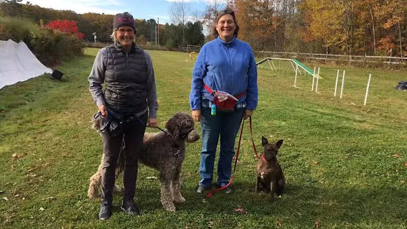 Whole Dog Camp at Bliss Woods Farm - Freeport, ME