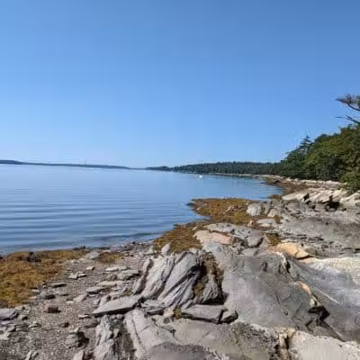 Wolfe's Neck Woods State Park - Freeport, ME