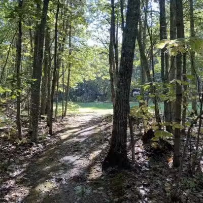 Wolfe's Neck Woods State Park - Freeport, ME