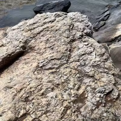 Wolfe's Neck Woods State Park - Freeport, ME