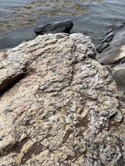 Wolfe's Neck Woods State Park - Freeport, ME