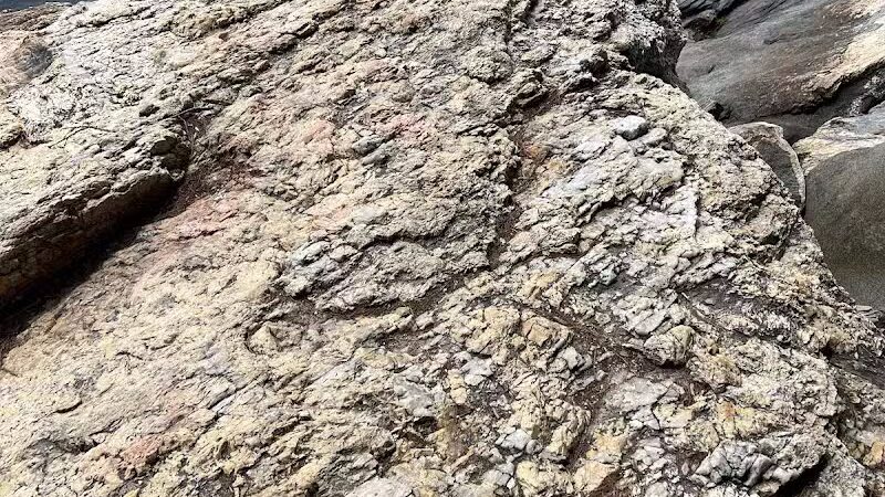 Wolfe's Neck Woods State Park - Freeport, ME