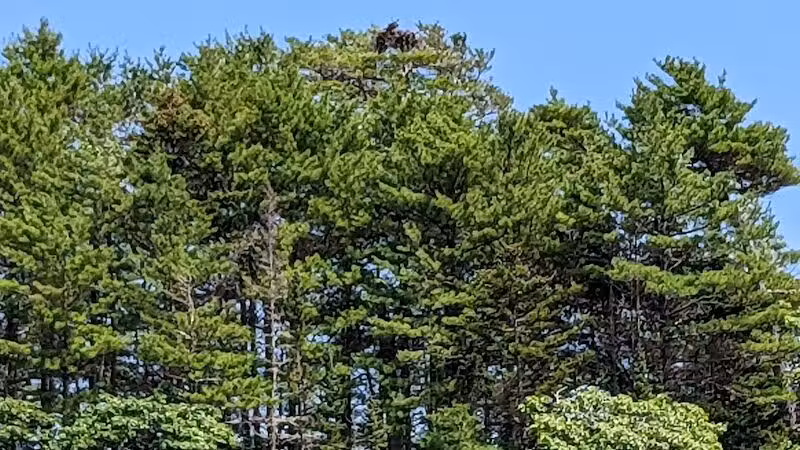 Wolfe's Neck Woods State Park - Freeport, ME