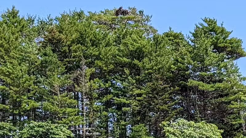 Wolfe's Neck Woods State Park - Freeport, ME