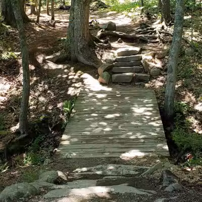 Wolfe's Neck Woods State Park - Freeport, ME