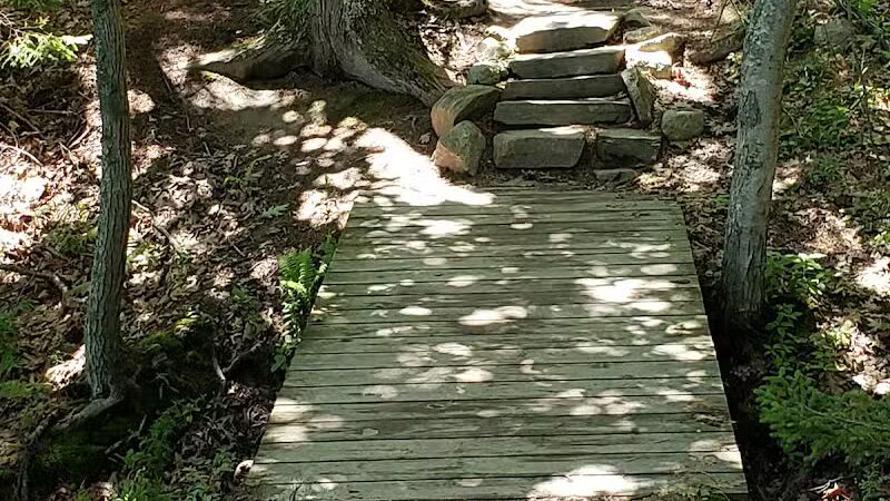 Wolfe's Neck Woods State Park - Freeport, ME