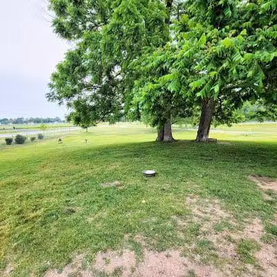 Fremont Dog Park - Fremont, MI