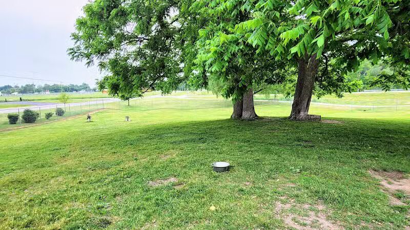 Fremont Dog Park - Fremont, MI