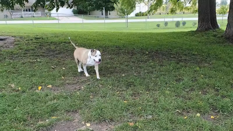 Fremont Dog Park - Fremont, MI