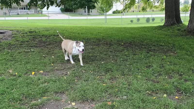 Fremont Dog Park - Fremont, MI