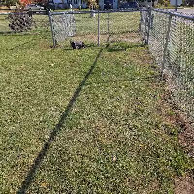 Fremont Dog Park - Fremont, MI