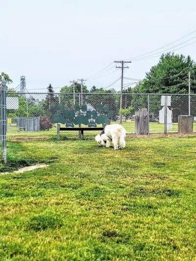 Fremont Dog Park - Fremont, MI