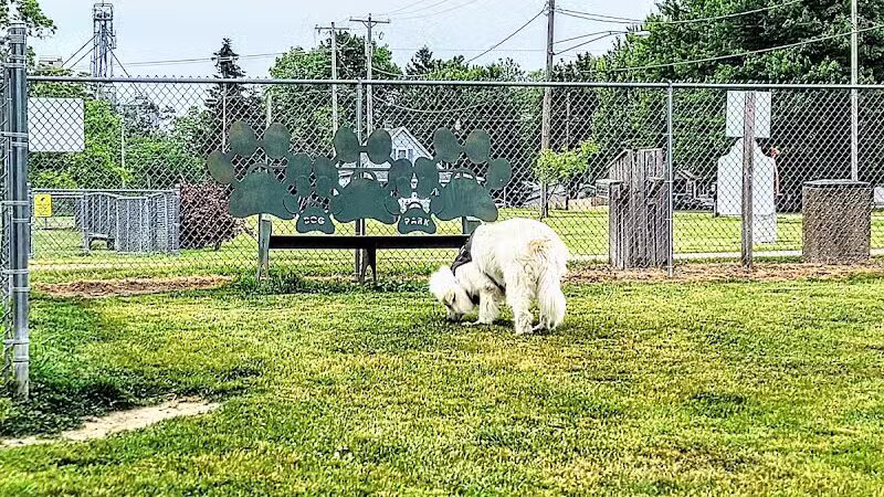 Fremont Dog Park - Fremont, MI