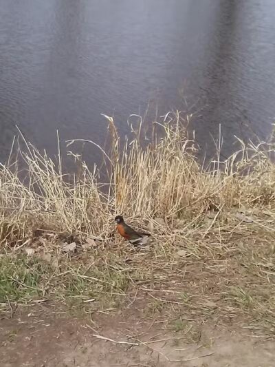 Pony Creek Park - Fremont, WI