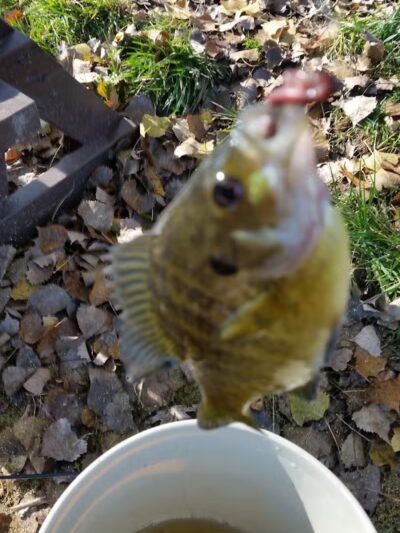 Pony Creek Park - Fremont, WI