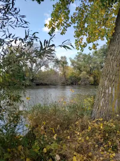 Pony Creek Park - Fremont, WI