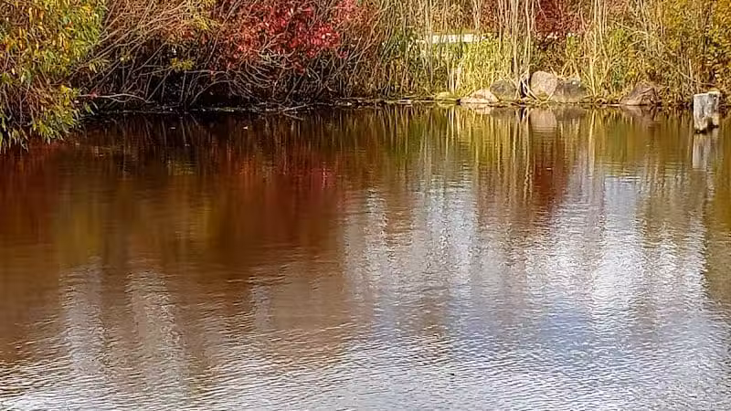 Pony Creek Park - Fremont, WI