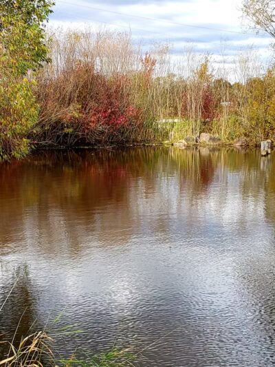 Pony Creek Park - Fremont, WI