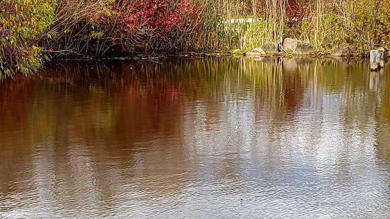 Pony Creek Park - Fremont, WI