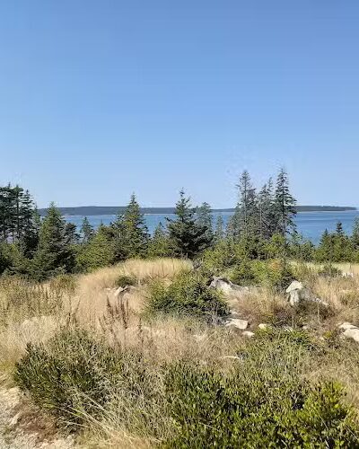 Frenchboro Preserve - Frenchboro, ME