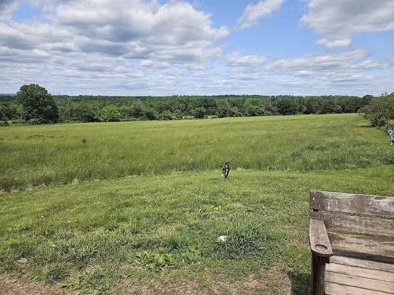 Horseshoe Bend Park