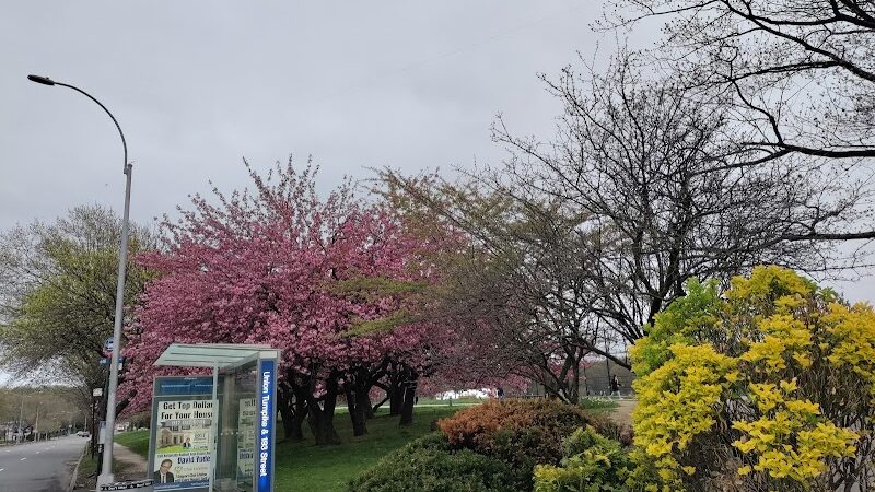 Cunningham Park - Fresh Meadows, NY