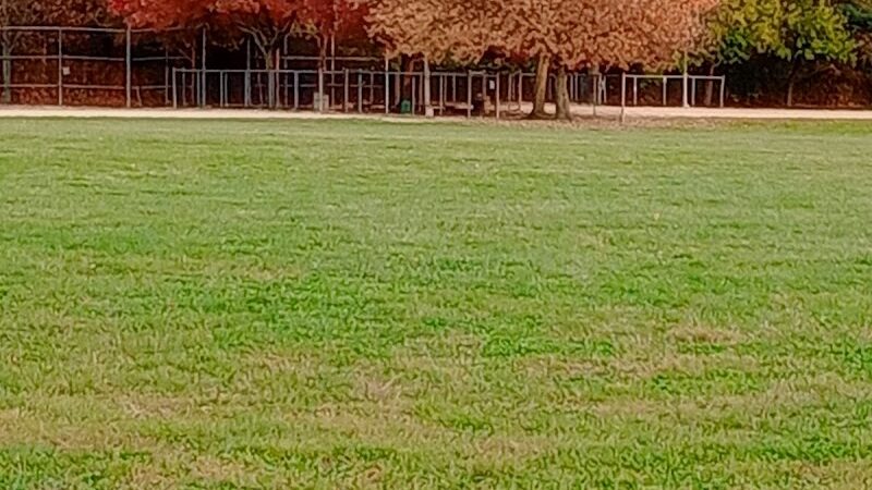 Cunningham Park - Fresh Meadows, NY