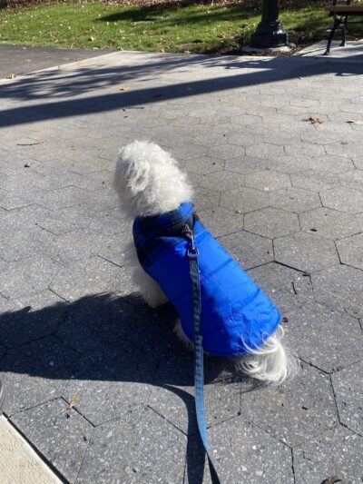 CUNNINGHAM PARK PLAYGROUND - Fresh Meadows, NY