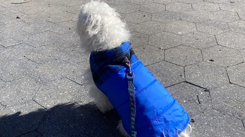 CUNNINGHAM PARK PLAYGROUND - Fresh Meadows, NY