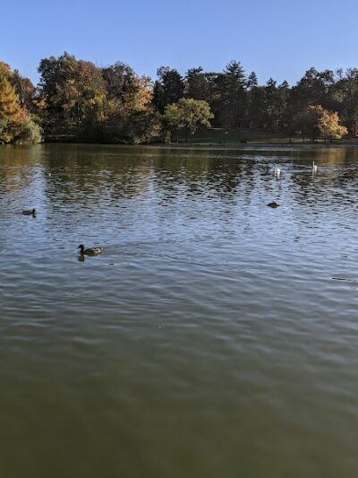 Fresh Meadows Park - Fresh Meadows, NY