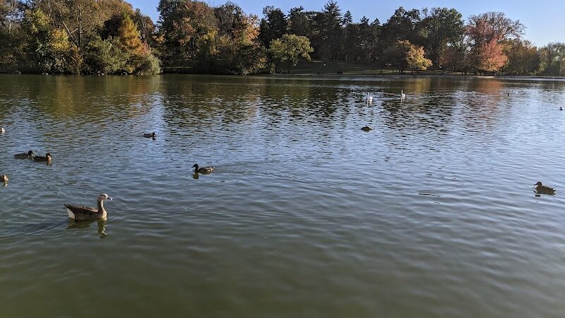 Fresh Meadows Park - Fresh Meadows, NY