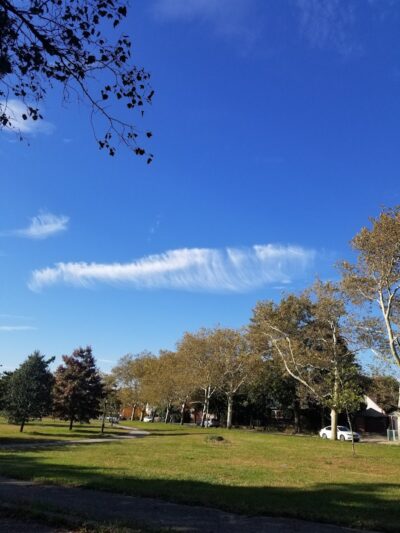 Kissena Corridor Park - Fresh Meadows, NY